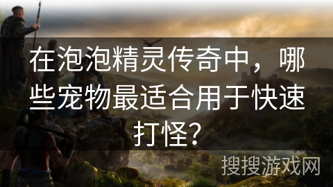 在泡泡精灵传奇中，哪些宠物最适合用于快速打怪？