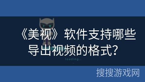《美视》软件支持哪些导出视频的格式？