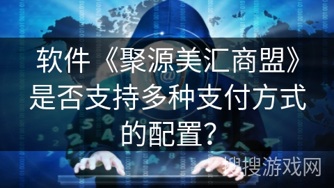 软件《聚源美汇商盟》是否支持多种支付方式的配置？