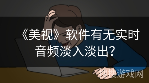 《美视》软件有无实时音频淡入淡出? 《美视》软件有无实时音频淡入淡出?