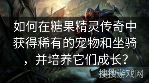 如何在糖果精灵传奇中获得稀有的宠物和坐骑，并培养它们成长？