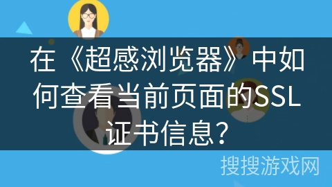 在《超感浏览器》中如何查看当前页面的SSL证书信息？