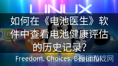 如何在《电池医生》软件中查看电池健康评估的历史记录? 如何在《电池医生》软件中查看电池健康评估的历史记录?