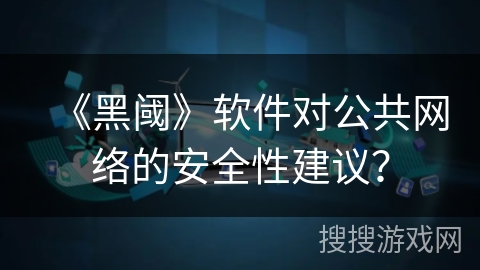 《黑阈》软件对公共网络的安全性建议？