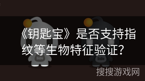 《钥匙宝》是否支持指纹等生物特征验证？