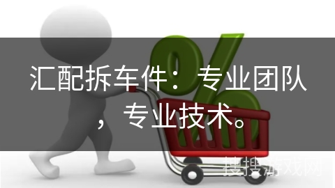 汇配拆车件：专业团队，专业技术。