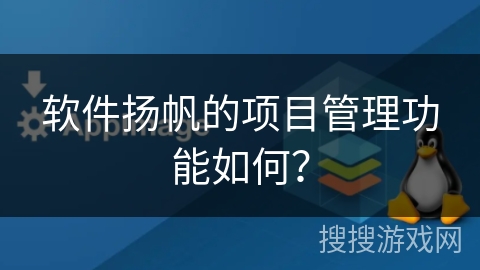 软件扬帆的项目管理功能如何？
