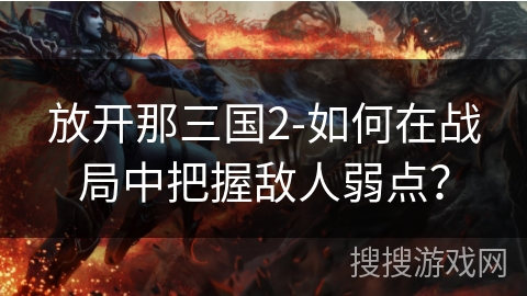 放开那三国2-如何在战局中把握敌人弱点? 放开那三国2-如何在战局中把握敌人弱点?