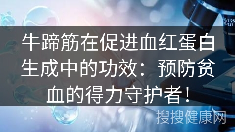 牛蹄筋在促进血红蛋白生成中的功效：预防贫血的得力守护者！