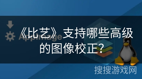 《比艺》支持哪些高级的图像校正？