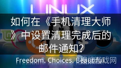 如何在《手机清理大师》中设置清理完成后的邮件通知？