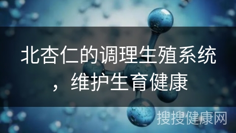 北杏仁的调理生殖系统，维护生育健康