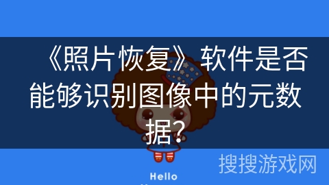 《照片恢复》软件是否能够识别图像中的元数据? 《照片恢复》软件是否能够识别图像中的元数据?