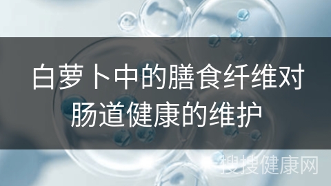 白萝卜中的膳食纤维对肠道健康的维护