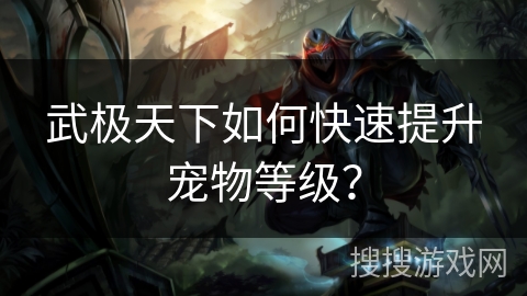 武极天下如何快速提升宠物等级？