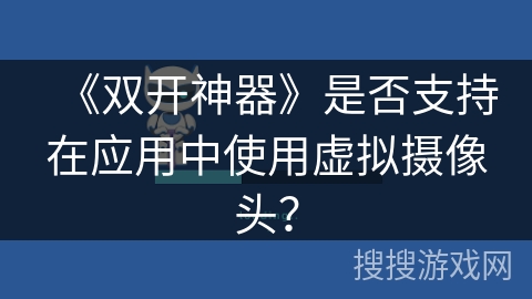 《双开神器》是否支持在应用中使用虚拟摄像头？