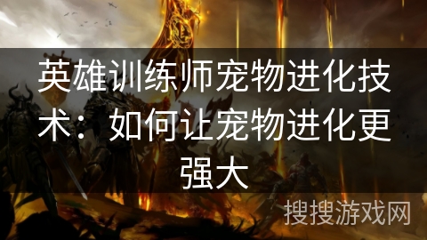 英雄训练师宠物进化技术：如何让宠物进化更强大