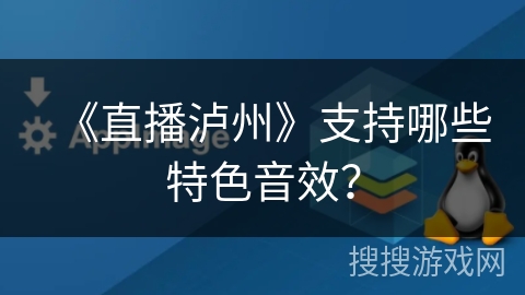 《直播泸州》支持哪些特色音效？