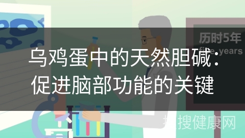 乌鸡蛋中的天然胆碱：促进脑部功能的关键