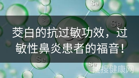 茭白的抗过敏功效，过敏性鼻炎患者的福音！