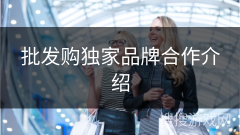 批发购独家品牌合作介绍