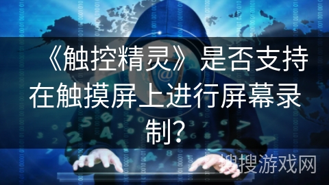 《触控精灵》是否支持在触摸屏上进行屏幕录制？