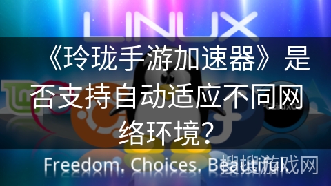 《玲珑手游加速器》是否支持自动适应不同网络环境? 《玲珑手游加速器》是否支持自动适应不同网络环境?