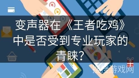 变声器在《王者吃鸡》中是否受到专业玩家的青睐？