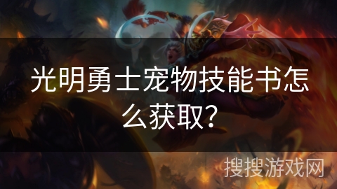 光明勇士宠物技能书怎么获取？