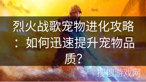 烈火战歌宠物进化攻略：如何迅速提升宠物品质？