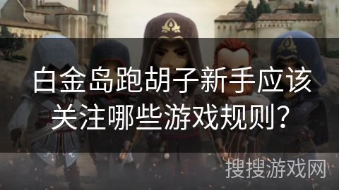 白金岛跑胡子新手应该关注哪些游戏规则？