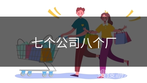 七个公司八个厂