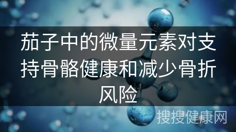 茄子中的微量元素对支持骨骼健康和减少骨折风险