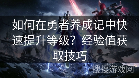 如何在勇者养成记中快速提升等级？经验值获取技巧