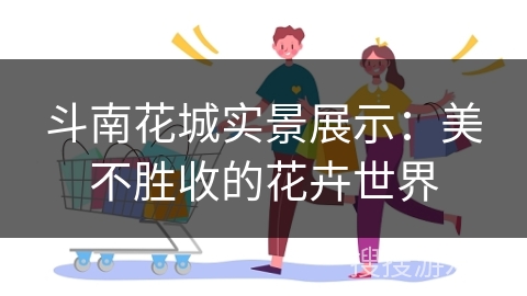 斗南花城实景展示：美不胜收的花卉世界
