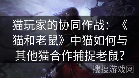 猫玩家的协同作战：《猫和老鼠》中猫如何与其他猫合作捕捉老鼠？