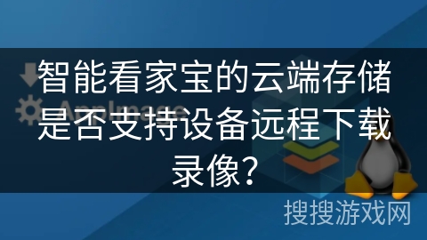 智能看家宝的云端存储是否支持设备远程下载录像？