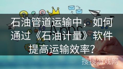 石油管道运输中，如何通过《石油计量》软件提高运输效率？