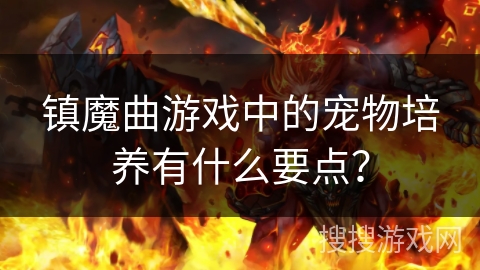 镇魔曲游戏中的宠物培养有什么要点？
