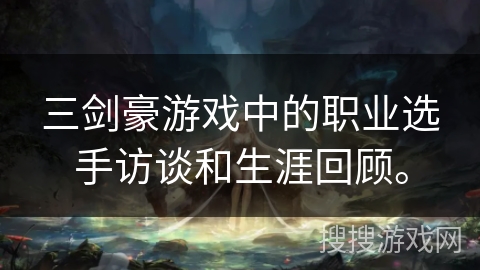 三剑豪游戏中的职业选手访谈和生涯回顾。
