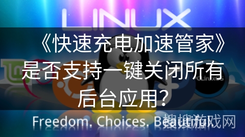 《快速充电加速管家》是否支持一键关闭所有后台应用？
