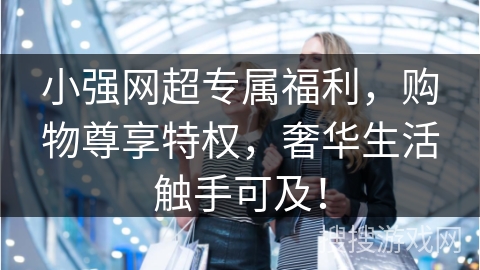 小强网超专属福利，购物尊享特权，奢华生活触手可及！