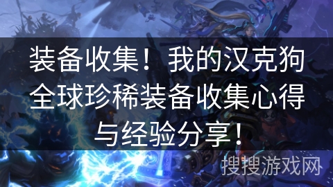 装备收集！我的汉克狗全球珍稀装备收集心得与经验分享！