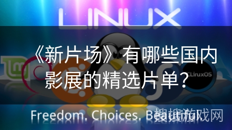 《新片场》有哪些国内影展的精选片单？