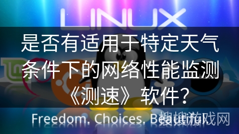 是否有适用于特定天气条件下的网络性能监测《测速》软件？