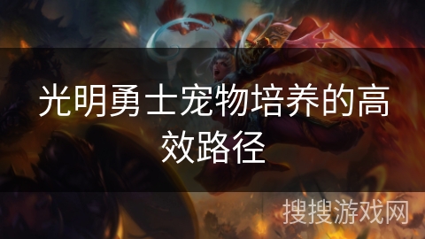 光明勇士宠物培养的高效路径 光明勇士宠物培养的高效路径