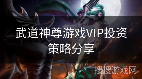 武道神尊游戏VIP投资策略分享