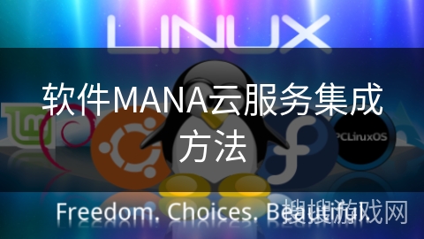 软件MANA云服务集成方法