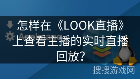 怎样在《LOOK直播》上查看主播的实时直播回放? 怎样在《LOOK直播》上查看主播的实时直播回放?