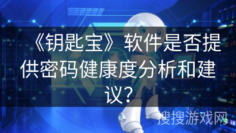 《钥匙宝》软件是否提供密码健康度分析和建议？